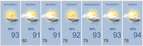 forecast.png