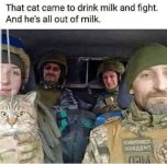 Cat Drink Milk & Fight.jpg