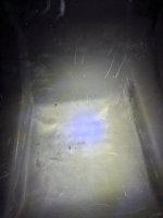 PXL_20250317_151241860.jpg
