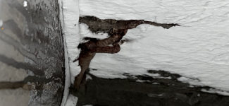 2E3C5451-F948-4F48-AA43-7C1EF7CF588E.png