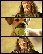 IMG_0503.jpeg