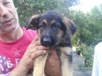 20130803_085742.jpg